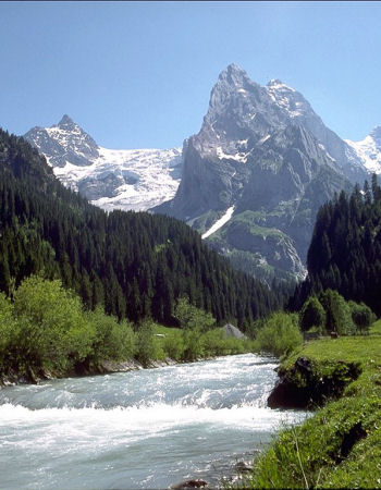 Mountain River View